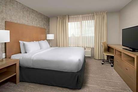 Queen Room - Disability Access/Non-Smoking