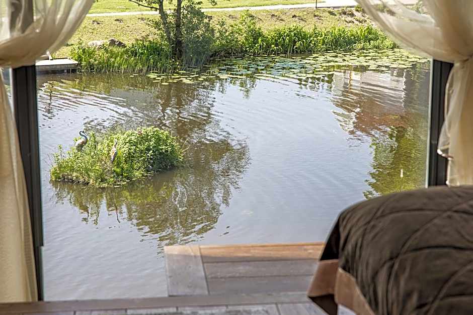 AKIS namelis medyje- Dinosaur Park