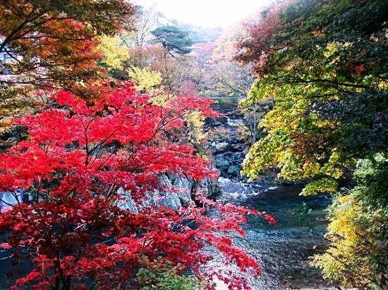 Koumeya