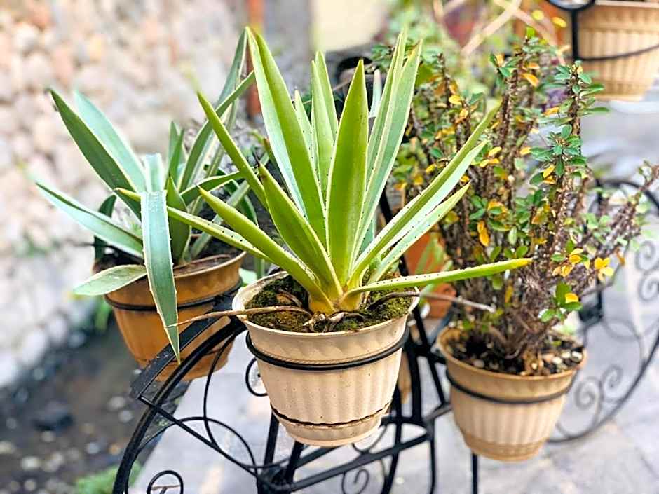 Casa Tía Anita, Hotel Boutique