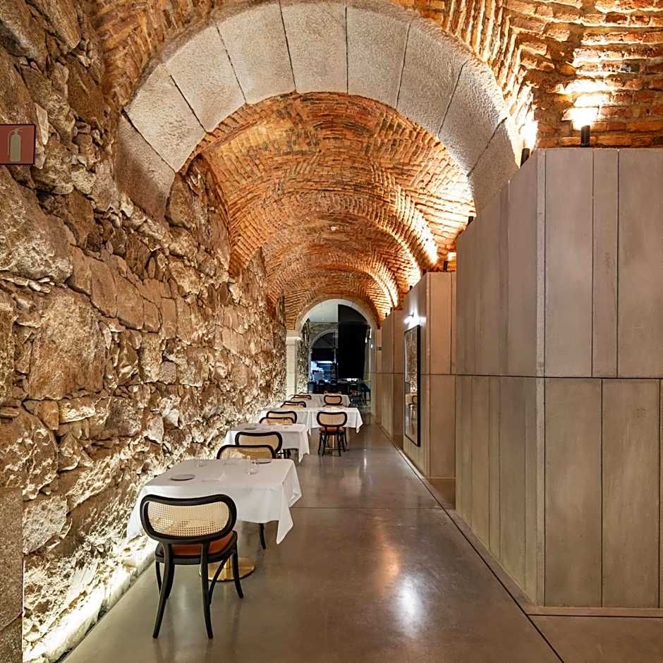 The Lince Santa Clara