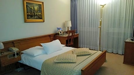 Standard Double Room (1 Double Bed)