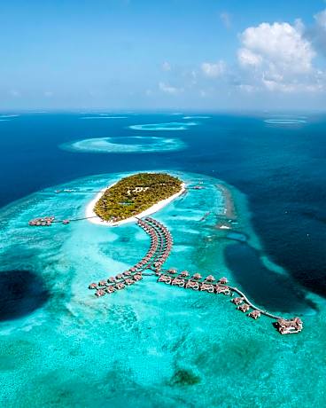 One Bedroom Overwater Pool Residence (Sunset View)