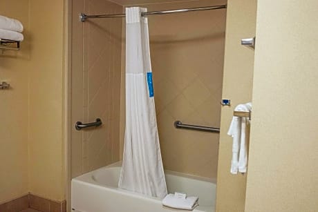 1 King Bed Studio Suite W/ Sofabed Nonsmoking