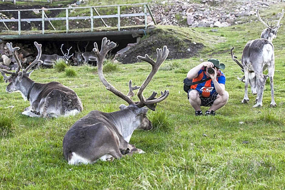 Arctic Shaman Adventures -Jurtta