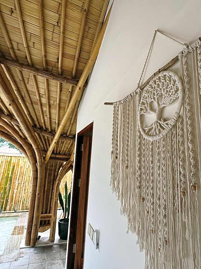 Tipsea Turtle Gili Air