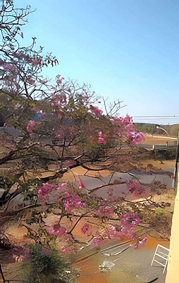 Vista p/parque, perto de tudo. Apto inteiro (loft)