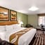 Quality Inn & Suites Plano