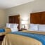 Comfort Inn Edwardsville - St. Louis