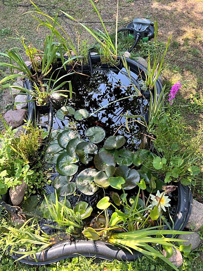 Villa Aida pokoje gościnne