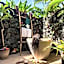 Paradise Resort Taveuni