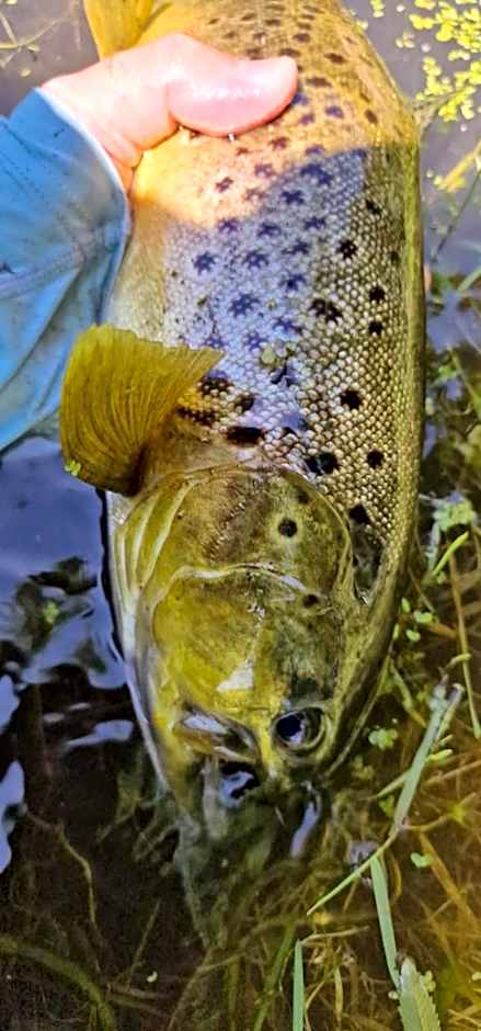 Casa rural Can Jepet