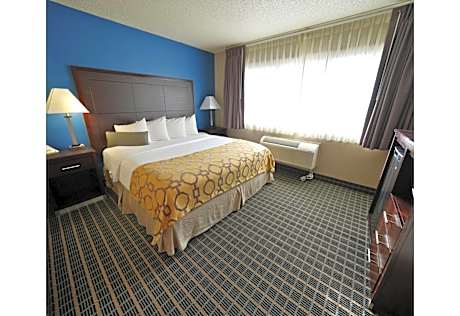 Studio King Suite with Sofa Bed - Non-Smoking