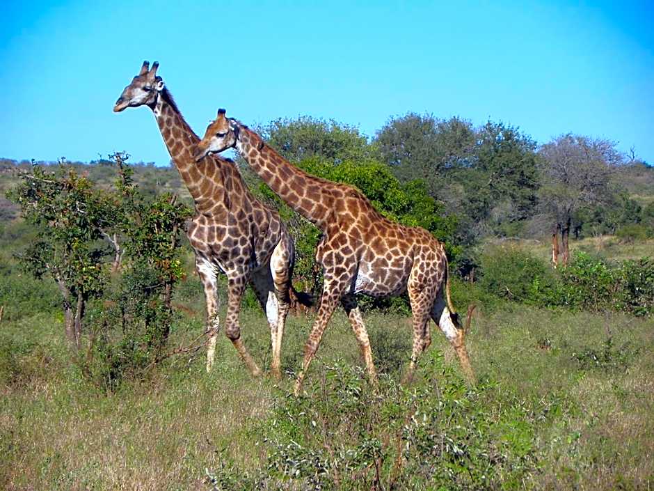 Pestana Kruger Lodge