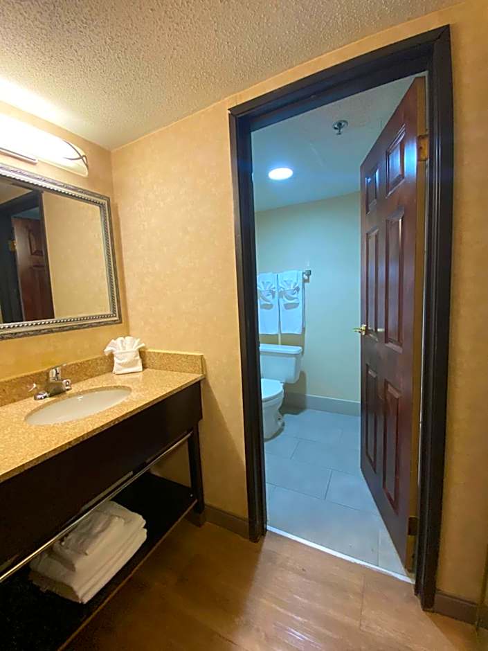 Wyndham Garden Grand Rapids Airport