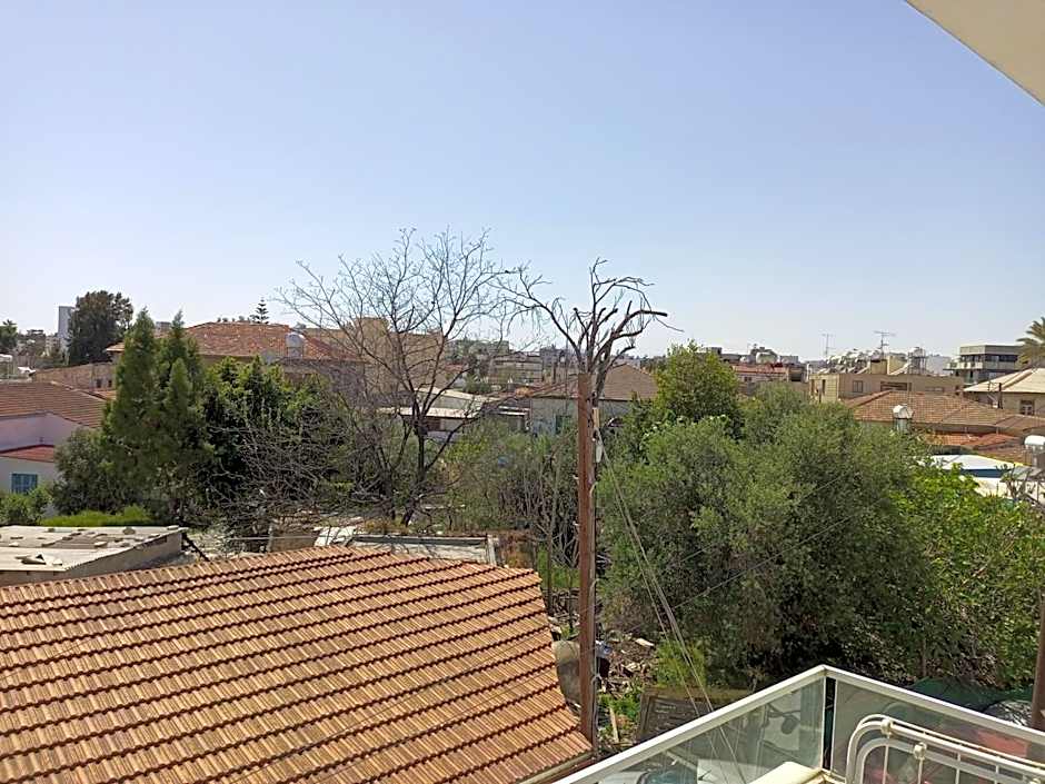 White 11