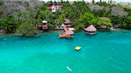 Bacalar B7 Blue