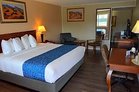 1 King Bed Studio Suite Non-Smoking