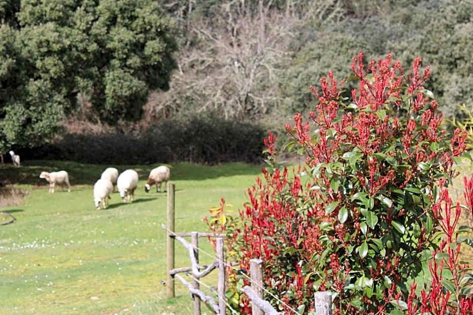 Quinta da Devesa -B2