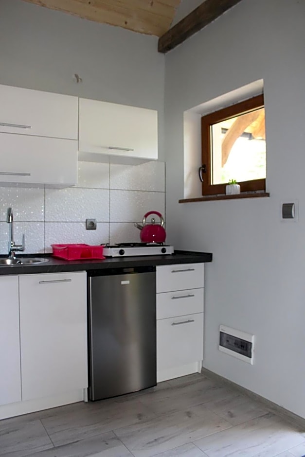 Domek letniskowy 8-osobowy nad jeziorem Wilczyńskim