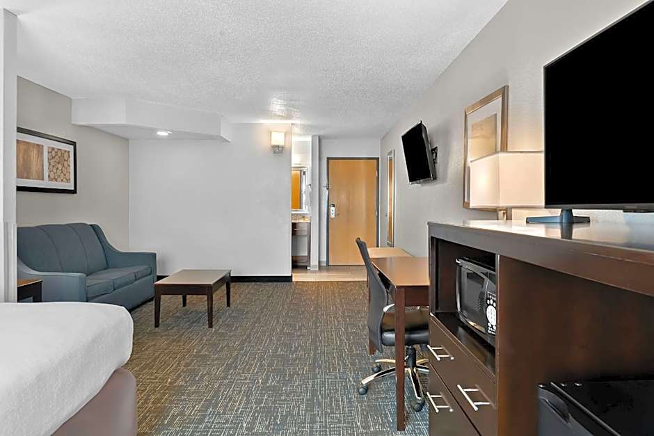 Best Western PLUS Flint Airport Inn & Suites