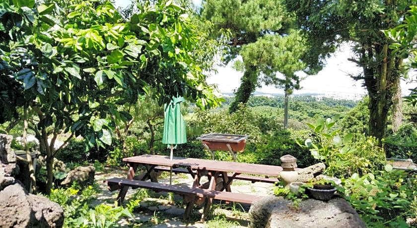 Dreaming Forest Pension