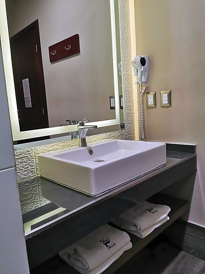 Hotel Plaza Arteaga