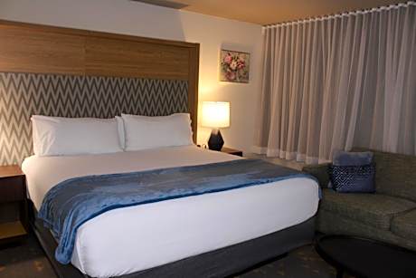 1 King Bed Deluxe Room Non-Smoking