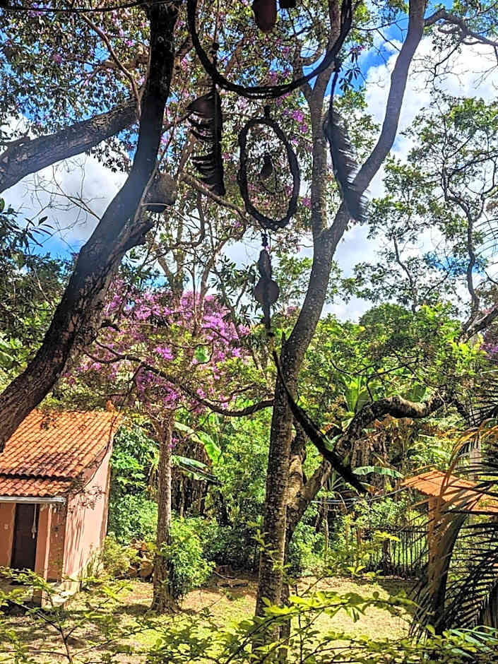 Casa das Irmãs - Só Mulheres - Women Only