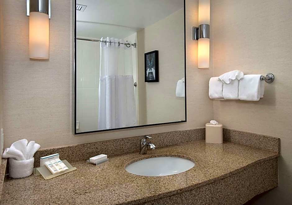 Hilton Garden Inn Albany Medical Center