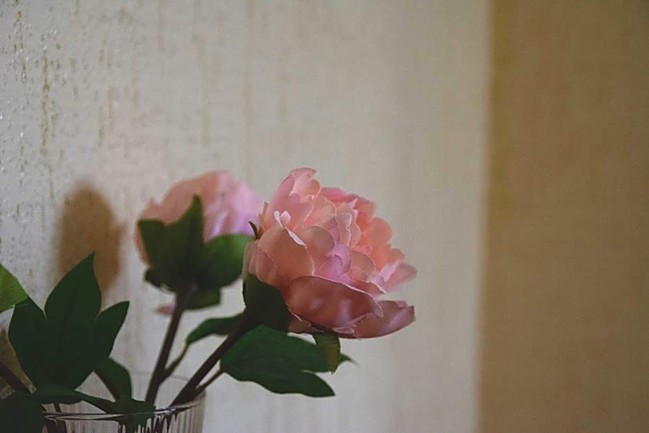 Hostal Rural La Plata Parking Incluido