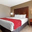 Comfort Suites Downtown Sacramento