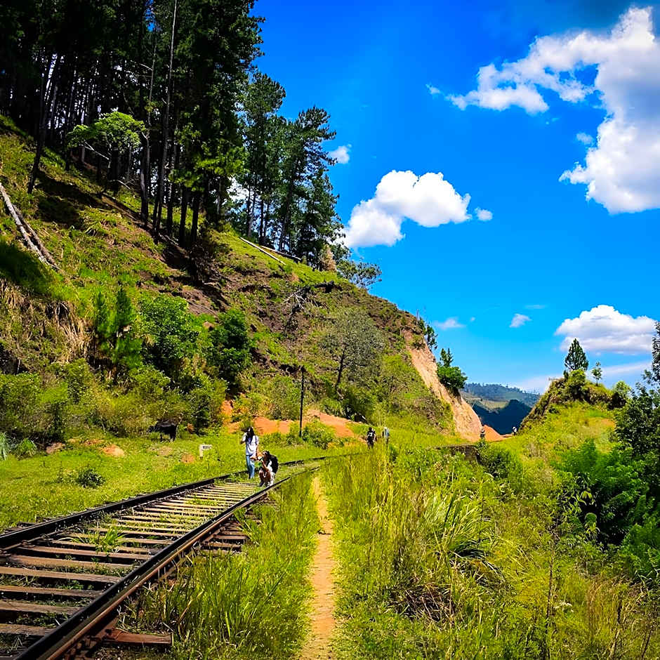 Oak-Ray Summer Hill Breeze Hotel