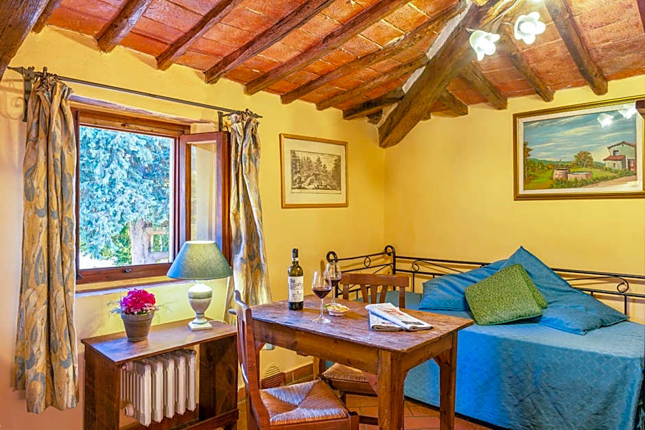 ISA-Farmhouse with swimming-pool in Chianti-area in the middle of Tuscan nature