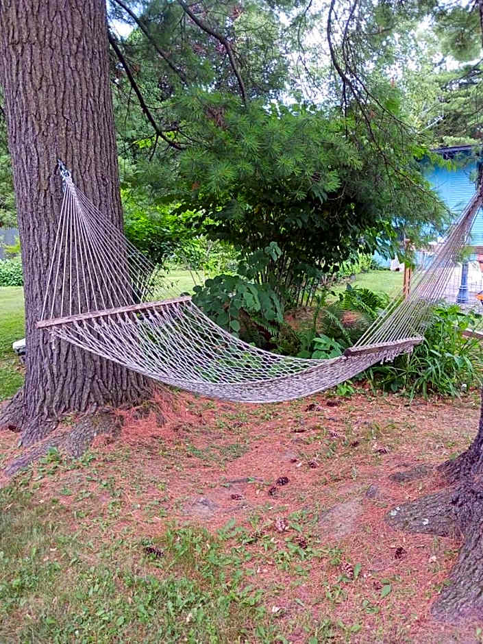 Hotel Vervana, Trademark Collection by Wyndham