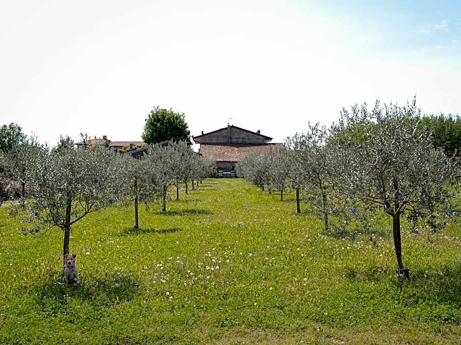 Villa Bongiovanni
