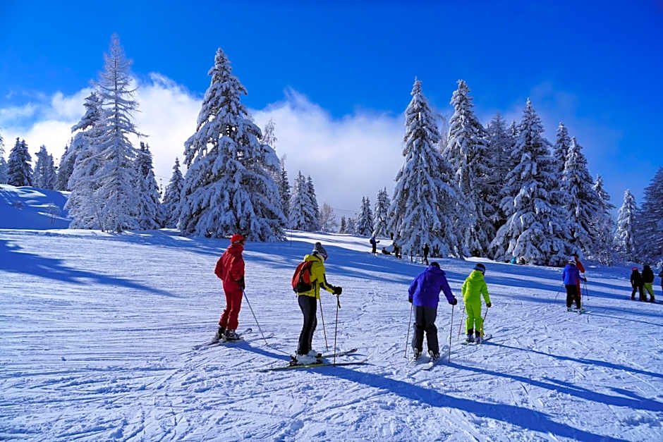 Chalet Hôtel du Bois