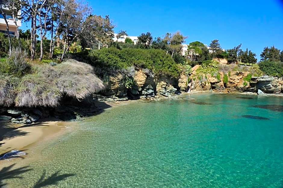 Renia Studios - Pool & Beach in 150m - Agia Pelagia