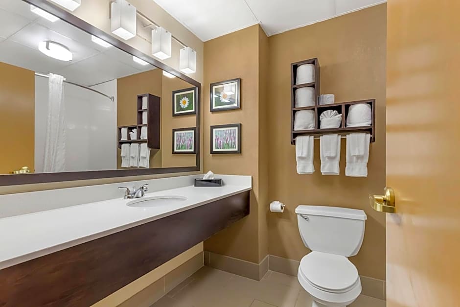 Comfort Suites Regency Park
