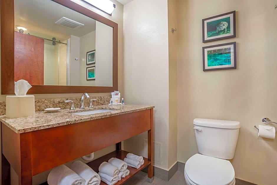 Comfort Suites Tallahassee Downtown