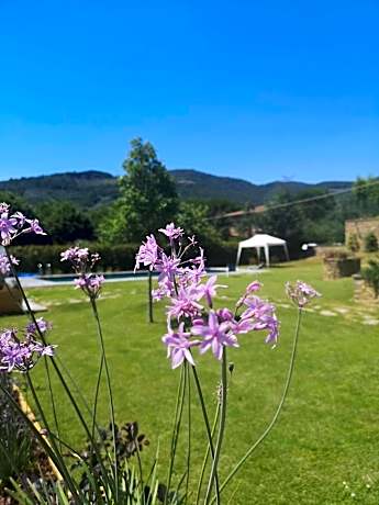 Alba Morus Bed & Breakfast, sentiti a casa nel cuore della Toscana
