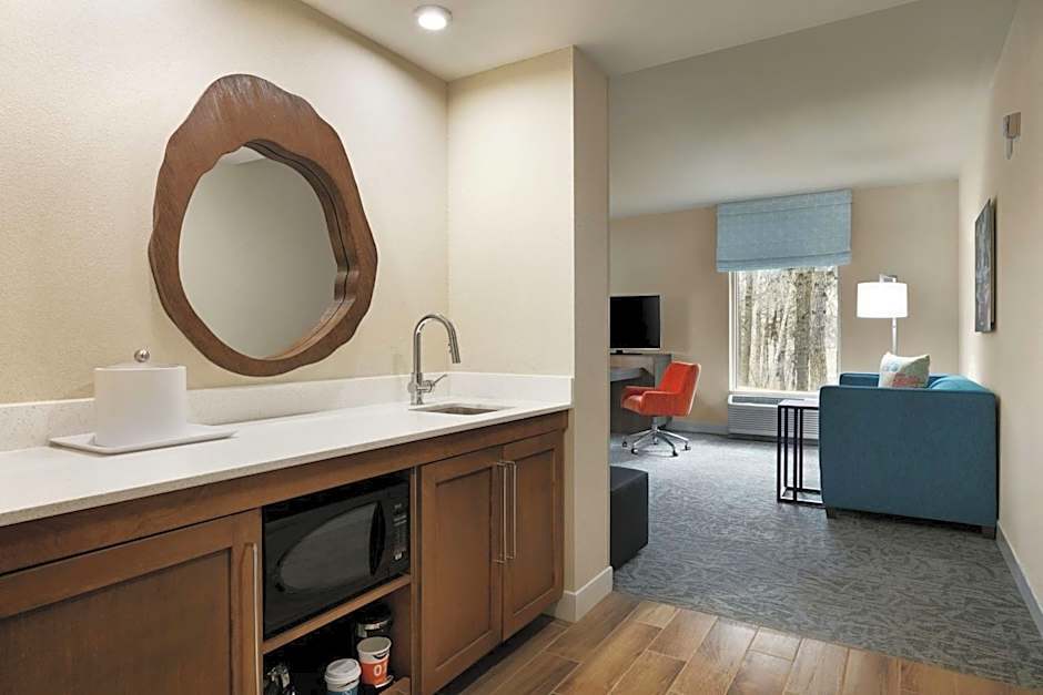 Hampton Inn And Suites By Hilton Johns Creek