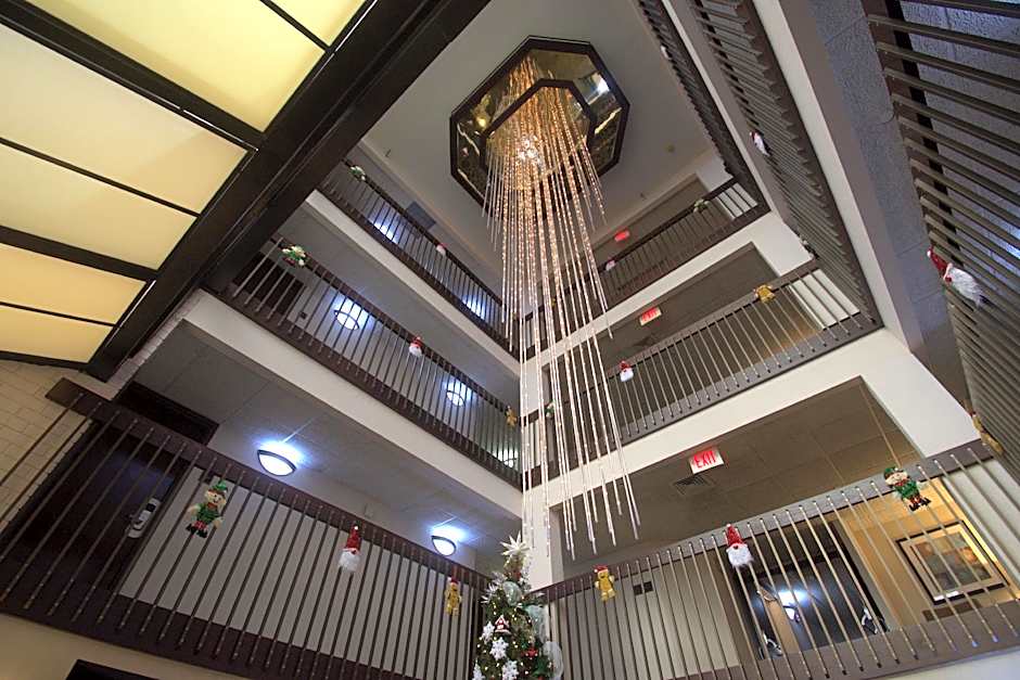 Hotel Lotus