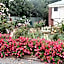 Mount Barker Valley Views Motel & Chalets, Western Australia