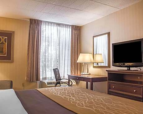 King Room - Non Smoking