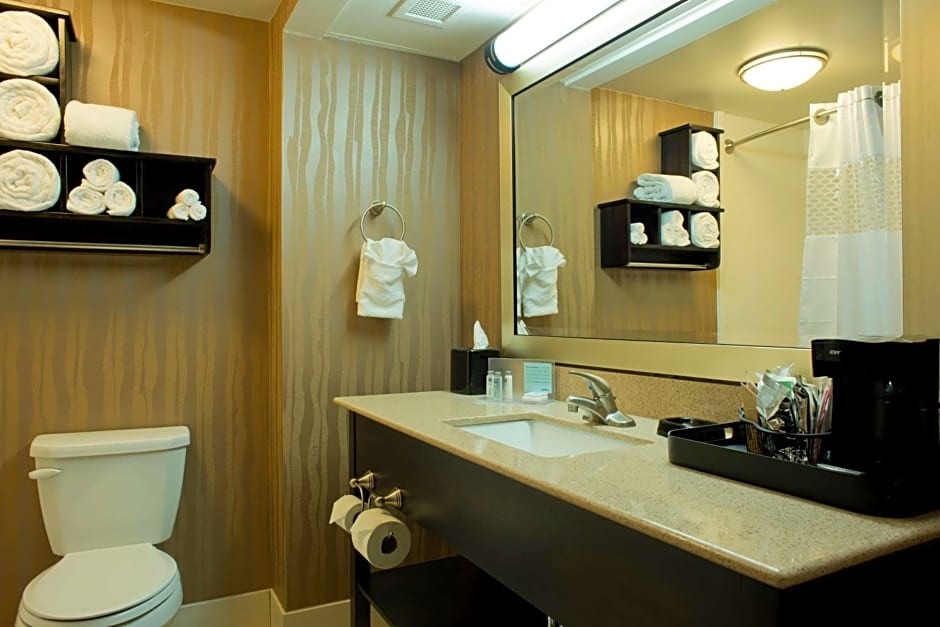 Hampton Inn By Hilton Milledgeville