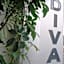 Hotel Divan