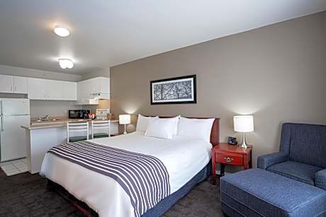 Studio Suite, 1 Queen Bed, Kitchen