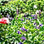 Olde Mill House Bed & Breakfast and Cycle Hire