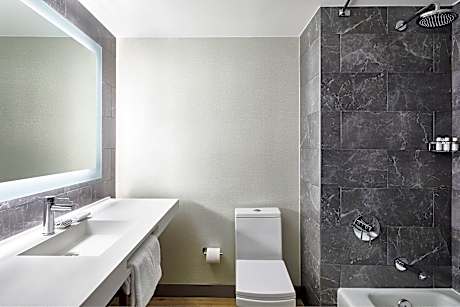 Room, 1 King Bed, City View (Hearing Accessible) (1 King Bed)